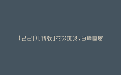 (221)[转载]花影斑驳，白墙画窗