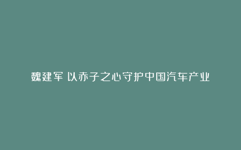 魏建军:以赤子之心守护中国汽车产业