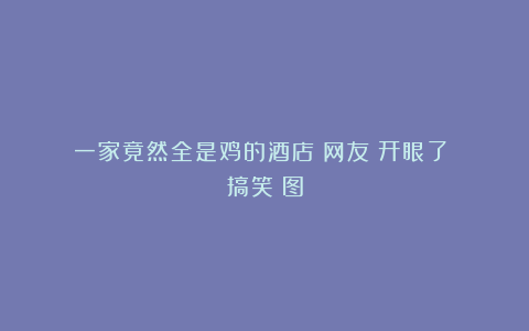 一家竟然全是鸡的酒店!网友:开眼了!|搞笑囧图