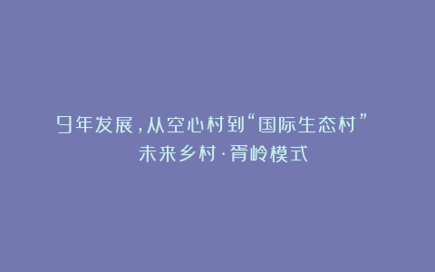 9年发展,从空心村到“国际生态村” | 未来乡村·胥岭模式