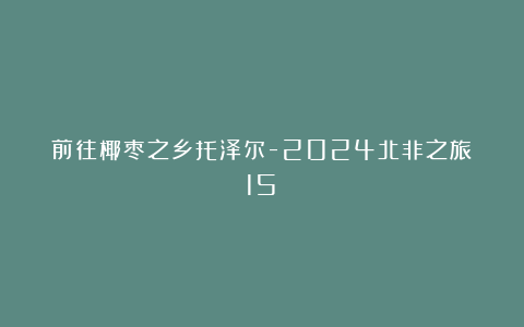 前往椰枣之乡托泽尔-2024北非之旅(15)