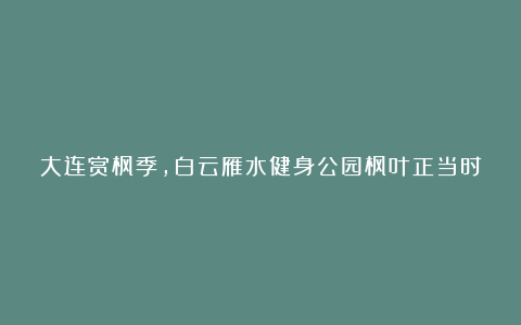 大连赏枫季,白云雁水健身公园枫叶正当时