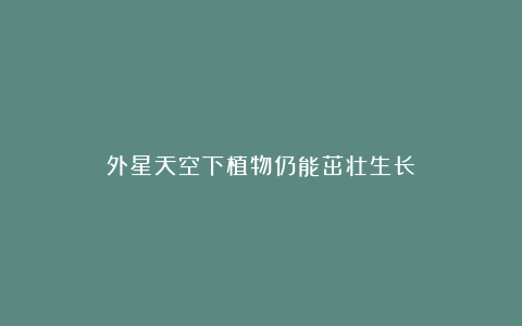 外星天空下植物仍能茁壮生长