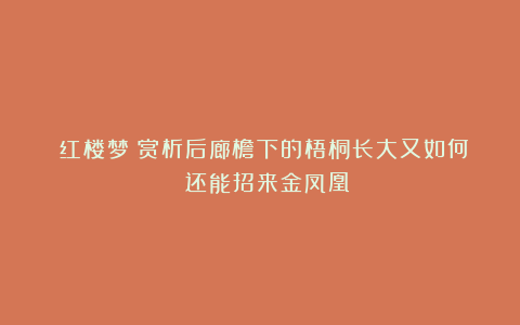 《红楼梦》赏析后廊檐下的梧桐长大又如何 还能招来金凤凰
