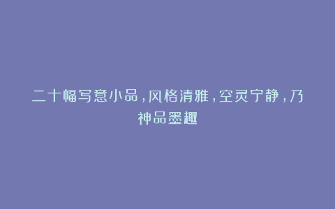 二十幅写意小品，风格清雅，空灵宁静，乃神品墨趣！