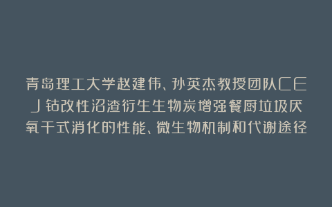 青岛理工大学赵建伟、孙英杰教授团队CEJ｜钴改性沼渣衍生生物炭增强餐厨垃圾厌氧干式消化的性能、微生物机制和代谢途径
