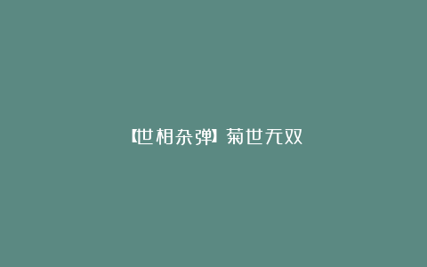 【世相杂弹】菊世无双
