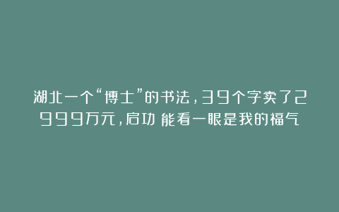 湖北一个“博士”的书法,39个字卖了2999万元,启功:能看一眼是我的福气!