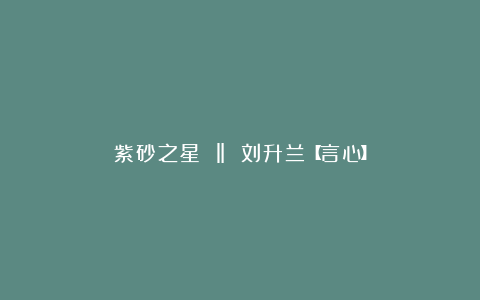紫砂之星 ‖ 刘升兰【言心】