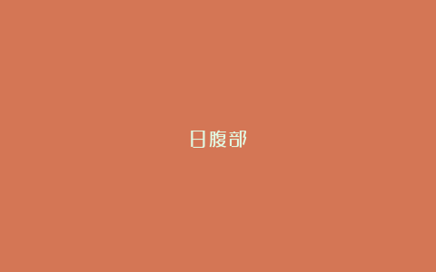 8腹部