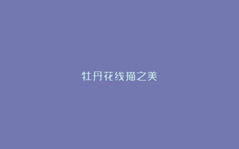 牡丹花线描之美