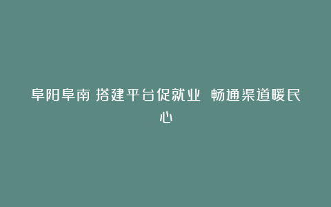 阜阳阜南:搭建平台促就业 畅通渠道暖民心