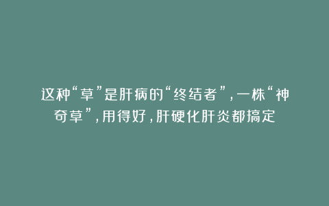 这种“草”是肝病的“终结者”,一株“神奇草”,用得好,肝硬化肝炎都搞定