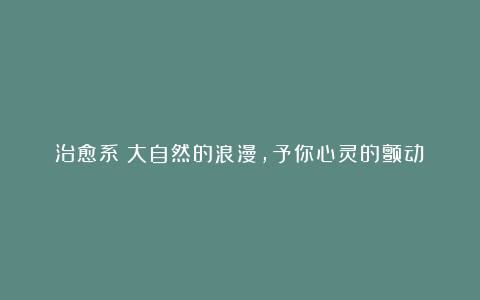 治愈系|大自然的浪漫,予你心灵的颤动!