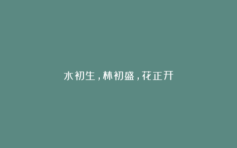 水初生,林初盛,花正开