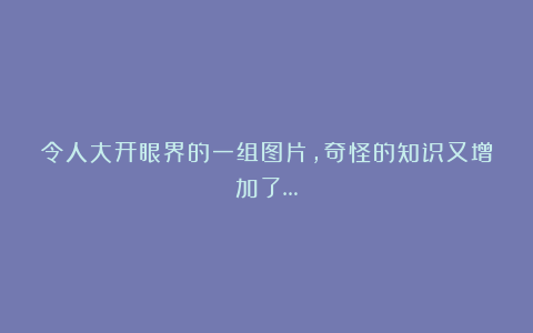 令人大开眼界的一组图片，奇怪的知识又增加了…