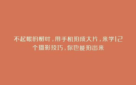 不起眼的树叶,用手机拍成大片,来学12个摄影技巧,你也能拍出来