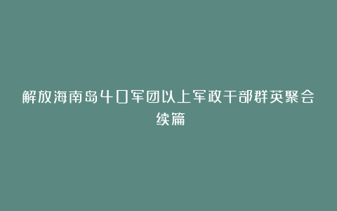 解放海南岛40军团以上军政干部群英聚会（续篇）