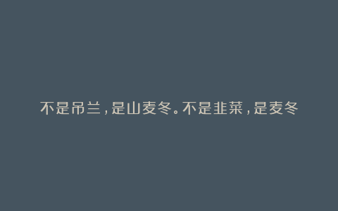 不是吊兰,是山麦冬。不是韭菜,是麦冬
