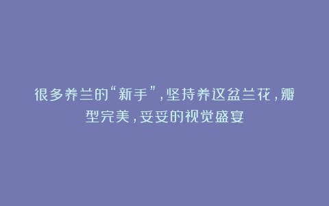 很多养兰的“新手”,坚持养这盆兰花,瓣型完美,妥妥的视觉盛宴