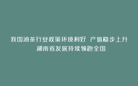 我国油茶行业政策环境利好 产值稳步上升 湖南省发展持续领跑全国