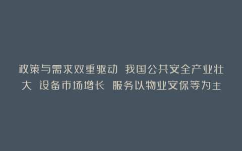 政策与需求双重驱动 我国公共安全产业壮大 设备市场增长 服务以物业安保等为主