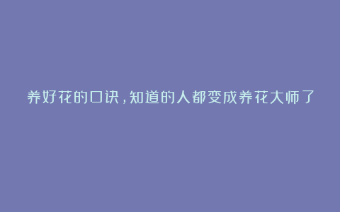 养好花的口诀,知道的人都变成养花大师了!
