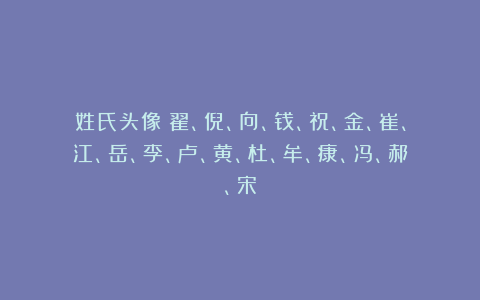 姓氏头像：翟、倪、向、钱、祝、金、崔、江、岳、李、卢、黄、杜、牟、康、冯、郝、宋