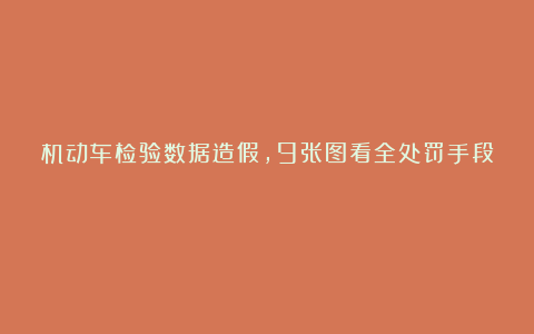 机动车检验数据造假，9张图看全处罚手段！