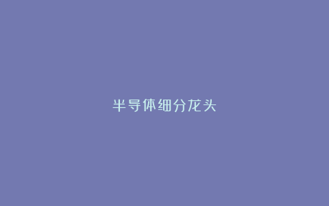 半导体细分龙头