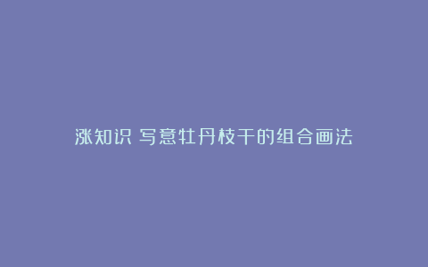 涨知识|写意牡丹枝干的组合画法