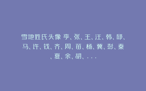 雪地姓氏头像：李、张、王、汪、韩、邱、马、许、钱、齐、周、苗、杨、冀、彭、秦、夏、余、胡、…