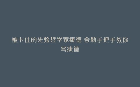 被卡住的先验哲学家康德(舍勒手把手教你骂康德)