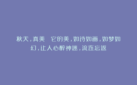 秋天,真美! 它的美,如诗如画,如梦如幻,让人心醉神迷,流连忘返