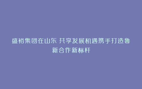 盛裕集团在山东|共享发展机遇携手打造鲁新合作新标杆