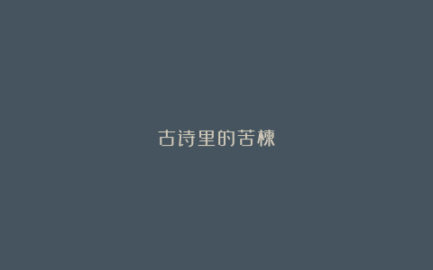 古诗里的苦楝