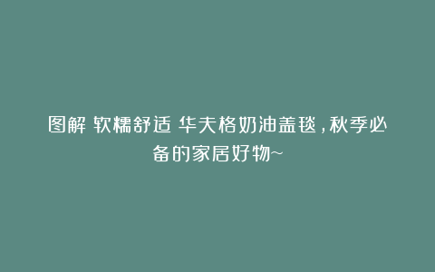 图解丨软糯舒适の华夫格奶油盖毯,秋季必备的家居好物~