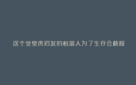 这个受壁虎启发的机器人为了生存会截肢