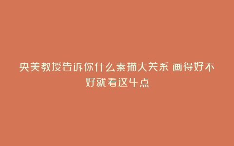 央美教授告诉你什么素描大关系:画得好不好就看这4点