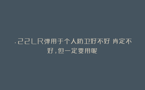 .22LR弹用于个人防卫好不好?肯定不好,但一定要用呢?
