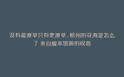 没有最潦草只有更潦草,杭州的花海是怎么了?来自版本馆前的叹息
