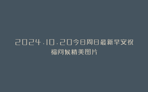 2024.10.20今日周日最新早安祝福问候精美图片