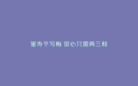 董寿平写梅:赏心只需两三枝