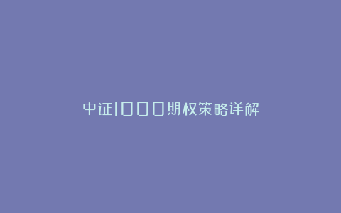 中证1000期权策略详解