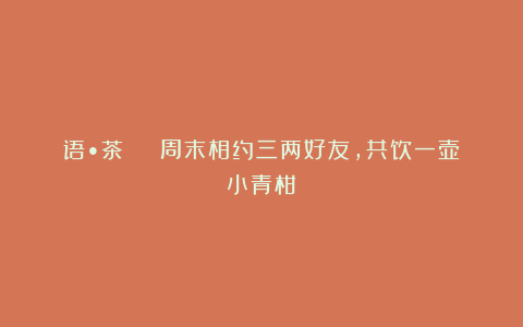 语•茶 | 周末相约三两好友,共饮一壶小青柑