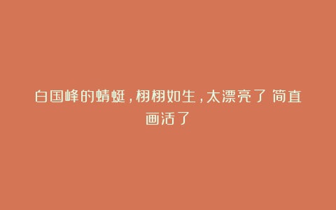 白国峰的蜻蜓,栩栩如生,太漂亮了!简直画活了!