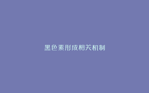 黑色素形成相关机制