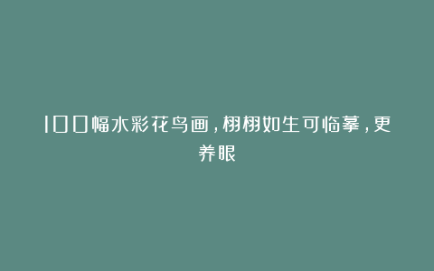 100幅水彩花鸟画,栩栩如生可临摹,更养眼!