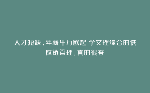 人才短缺,年薪4万欧起!学文理综合的供应链管理,真的很香!