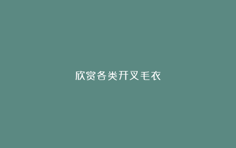 欣赏各类开叉毛衣